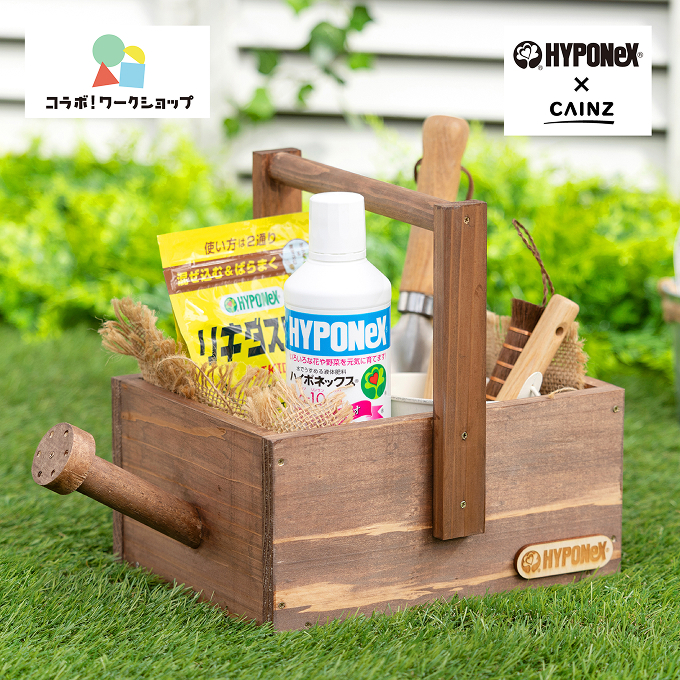 簡単DIY！じょうろ型ガーデンマルチボックス作り