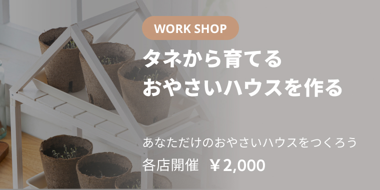 タネから育てる おやさいハウスを作る